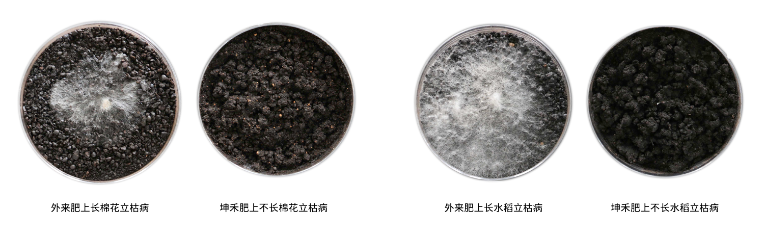 1691460370175982.png 病原菌試驗-01.png